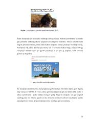 Melagienų poveikis soc. tinkluose 18 puslapis