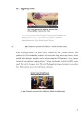 Melagienų poveikis soc. tinkluose 19 puslapis