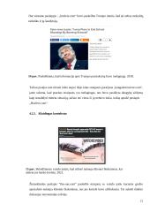 Melagienų poveikis soc. tinkluose 20 puslapis