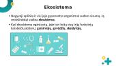 Biologija - ekosistema  4 puslapis