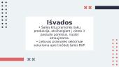 Lietuvos pramonė: projektas 13 puslapis