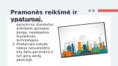 Lietuvos pramonė: projektas 5 puslapis