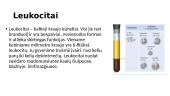 Leukocitai, jų rūšys 2 puslapis