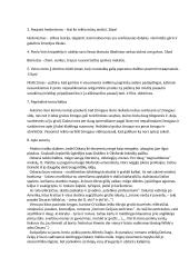 "Doriano Grėjaus portretas" - išsami analizė 12 puslapis