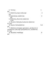 Lietuvos elektrinės 2 puslapis