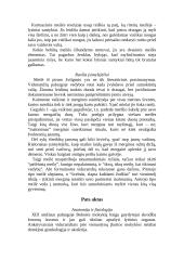 Meilė viduramžiais 3 puslapis