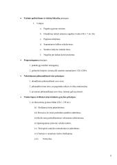 Civilinės teisės sąvokos ir teorija 6 puslapis