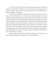 Modernizmo epocha dailėje 2 puslapis