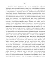 Modernizmo epocha dailėje 3 puslapis