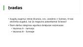 Agurkų daiginimas skirtingame apšvietime 2 puslapis