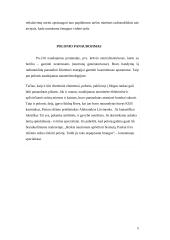 Polonis, jo istorija bei savybės 5 puslapis