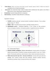 Digital marketing (skaitmeninis marketingas) 2 puslapis