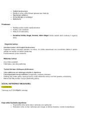Digital marketing (skaitmeninis marketingas) 15 puslapis