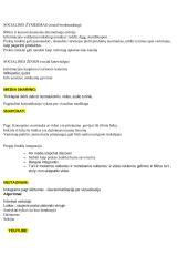 Digital marketing (skaitmeninis marketingas) 18 puslapis