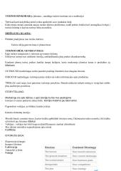 Digital marketing (skaitmeninis marketingas) 20 puslapis