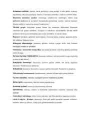 Digital marketing (skaitmeninis marketingas) 6 puslapis