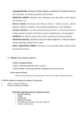 Digital marketing (skaitmeninis marketingas) 7 puslapis