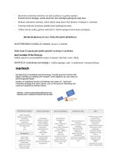Digital marketing (skaitmeninis marketingas) 8 puslapis