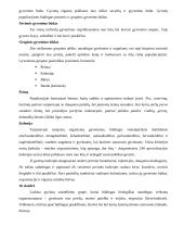 Populiacijos struktūra ir ją formuojantys veiksniai 3 puslapis