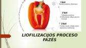 Liofilizavimas (sublimavimas) 3 puslapis