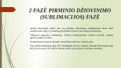 Liofilizavimas (sublimavimas) 5 puslapis