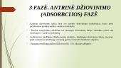 Liofilizavimas (sublimavimas) 6 puslapis