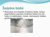 Žvejyba ir akvakultūra 4 puslapis