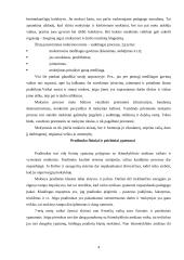 Pradinukas. Pedagoginė ir psichologinė pusės 4 puslapis