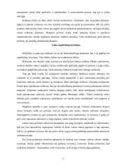 Pradinukas. Pedagoginė ir psichologinė pusės 5 puslapis