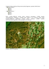 GIS duomenų rinkimas: vektorizavimas kompiuterio ekrane 2 puslapis