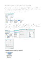 GIS duomenų rinkimas: vektorizavimas kompiuterio ekrane 4 puslapis