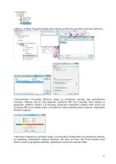 GIS duomenų rinkimas: geografinis registravimas, geokodavimas bei GPS 11 puslapis