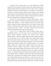 Religija bei politika - tolerancija ir fanatizmas 4 puslapis