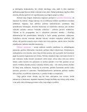 Religija bei politika - tolerancija ir fanatizmas 5 puslapis