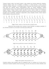 Magnetinio lauko ir laidininko su srove sąveika 13 puslapis