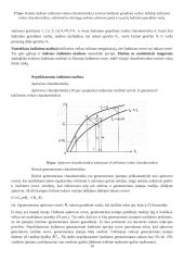 Magnetinio lauko ir laidininko su srove sąveika 19 puslapis