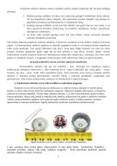 Magnetinio lauko ir laidininko su srove sąveika 5 puslapis