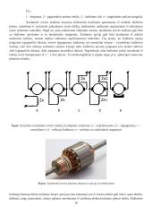 Magnetinio lauko ir laidininko su srove sąveika 10 puslapis