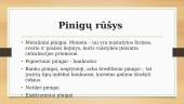 Pinigai ir jų funkcijos  5 puslapis