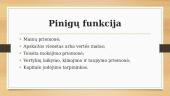 Pinigai ir jų funkcijos  6 puslapis