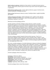 Socialinė pedagogika 3 puslapis