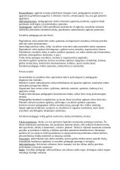 Socialinė pedagogika 4 puslapis