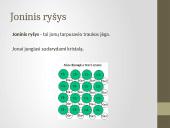 Luisas, joniniai ryšiai 14 puslapis