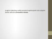 Luisas, joniniai ryšiai 15 puslapis