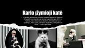 Karl Lagerfeld 11 puslapis
