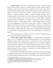 Socialinio darbuotojo vertybės