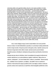 Kas žmogui teikia ramybę? (Mykolaitis-Putinas, Donelaitis, Tumas-Vaižgantas) 2 puslapis