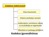 Etikos kodeksai organizacijose 3 puslapis