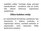 Etikos kodeksai organizacijose 6 puslapis
