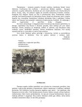 Šamanizmas 2 puslapis